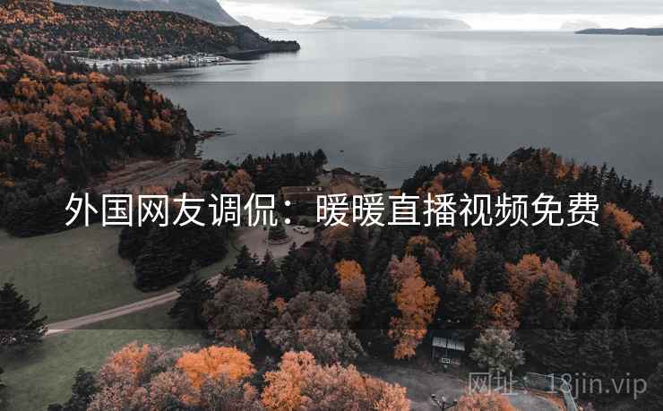 外国网友调侃：暖暖直播视频免费