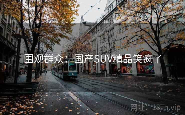 围观群众：国产SUV精品笑疯了