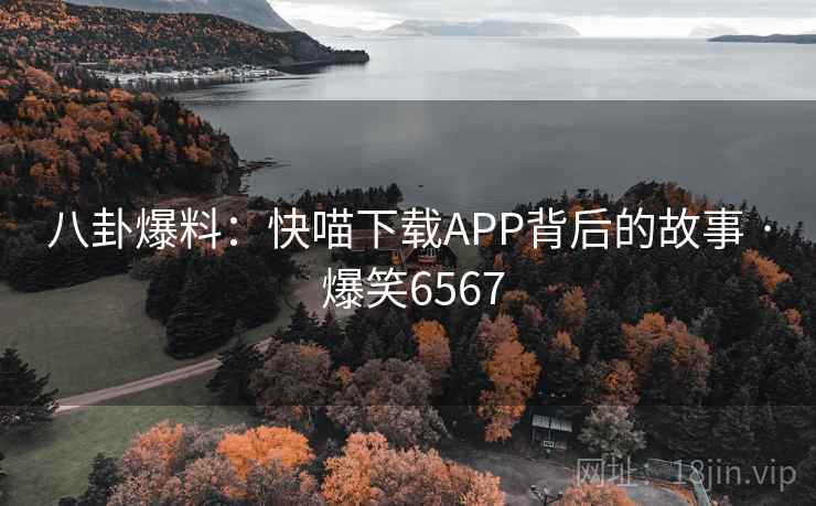 八卦爆料：快喵下载APP背后的故事 · 爆笑6567